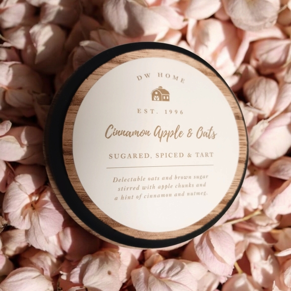 Cinnamon Apple & Oats Highly Scented Hand Poured 8.5oz By DW Home - Picture 7 of 9